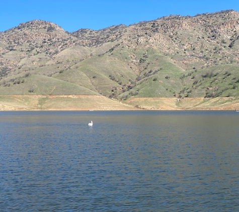 Lake Kaweah Boat Patrol - Lemon Cove, CA