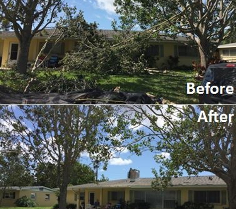 All Florida Tree Care - Sarasota, FL