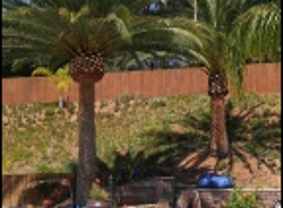 Carrillo's tree services - Chula Vista, CA