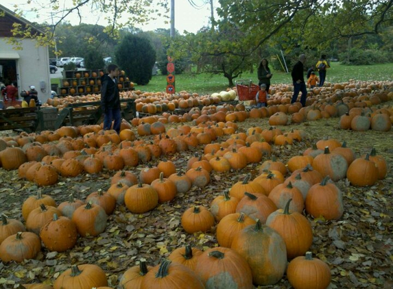 White House Fruit Farm - Canfield, OH