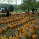 White House Fruit Farm