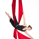 Aerial Dance/Circus Arts San Antonio - Circus Companies