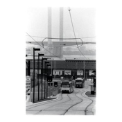 Gallery Image Number 7