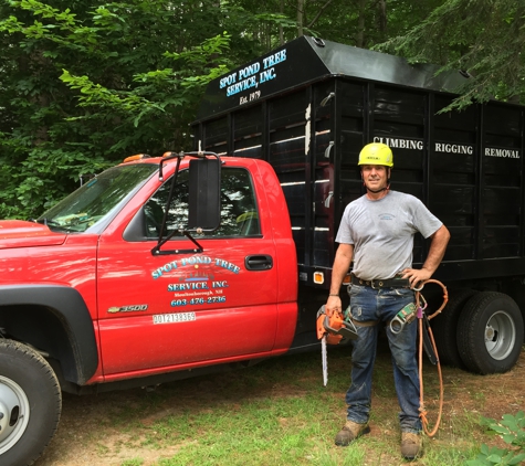 Spot Pond Tree Service Inc. - Moultonborough, NH