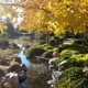 Japanese Friendship Garden