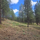 B&B Wildland Fire Corporation