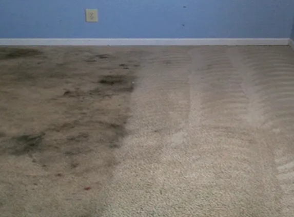 5 Star Carpet Repair And Stretching