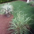 Sandhills Grounds Maintenance - Landscaping & Lawn Services