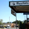 Many Tails Pet Grooming gallery