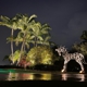 Outdoor Lighting Concepts Tampa