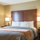 Comfort Inn & Suites Suwanee - Sugarloaf - Motels