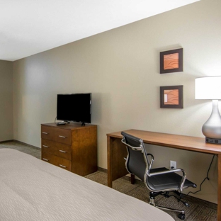 Comfort Inn South Chesterfield - Colonial Heights - South Chesterfield, VA