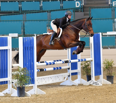 KDB Training Stables at Rancho Cielo - Rancho Santa Fe - Rancho Santa Fe, CA