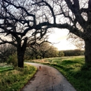 Elinor Bedell State Park - Places Of Interest