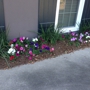 Landscape Baton Rouge LLC