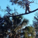 John sisco tree service - Tree Service