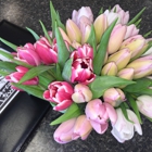 Bartz Viviano Flowers & Gifts