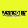 Magnificent Tint gallery