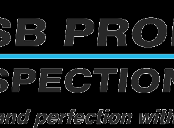 NSB Property Inspections, LLC. - Hudson, MI