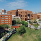 Johns Hopkins Gynecology and Obstetrics