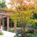 Planting Design - Landscape Designers & Consultants