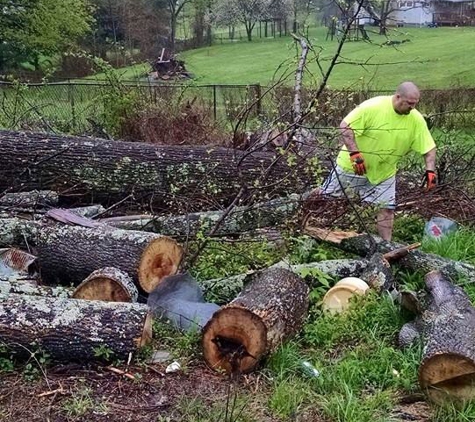 Pemberton Tree Service - south point, OH