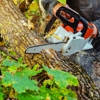 Tree Service & Lawn Care gallery