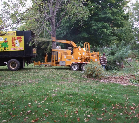 Mencer's Tree Service - Knoxville, TN