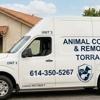 Animal Control & Removal Torrance gallery