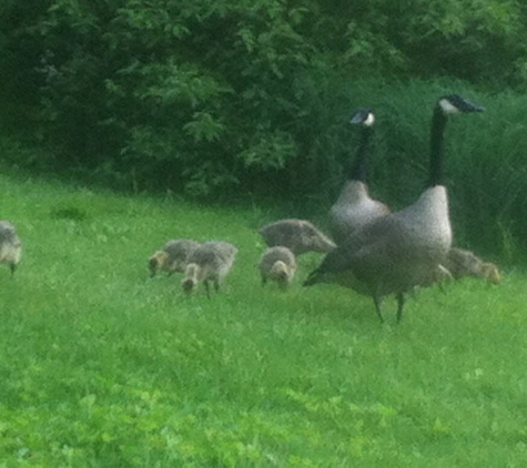 Mill Creek Park - Canfield, OH