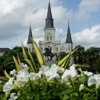 French Quarter New Orleans Tours, LLC gallery