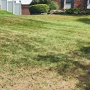 Making Solid Ground Lawn Care Inc - Gardeners