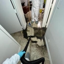 Green Guard Mold Remediation Of Union - Mold Remediation