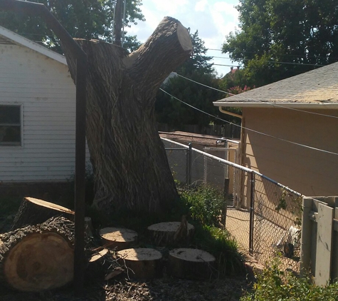 ArborPro Tree Care - Longdale, OK