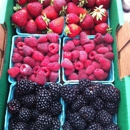 Hillsboro Farmers Market - Fruit & Vegetable Markets