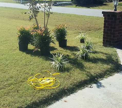 Dalmatian Lawn Care and Pressure Washing, LLC. - Goldsboro, NC