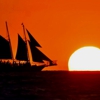 Suncoast Sailing gallery