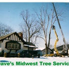 Dave's Midwest Tree Service