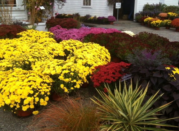 Goudreault Farm Greenhouse - Plaistow, NH