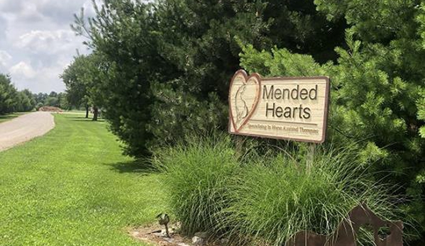 Mended Hearts - Metamora, IL