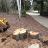 Affordable Stump Grinding LLC gallery