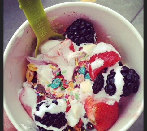 Menchie's Frozen Yogurt - Fairlawn, OH