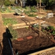 Zaferia Junction Community Garden