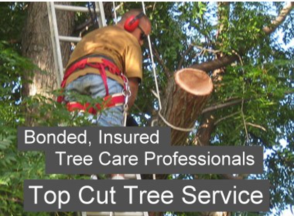 Top Cut Tree Service - conroe, TX