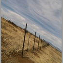 Saguaro Fencing and Land Services - Vinyl Fences