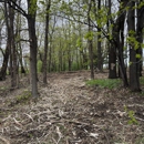Back 40 Dirt and Timber