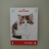 Royal Canin gallery