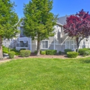 Bay Vista at Meadow Park - Apartments
