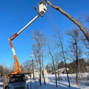 Norgren Tree Services Inc - Tree Service