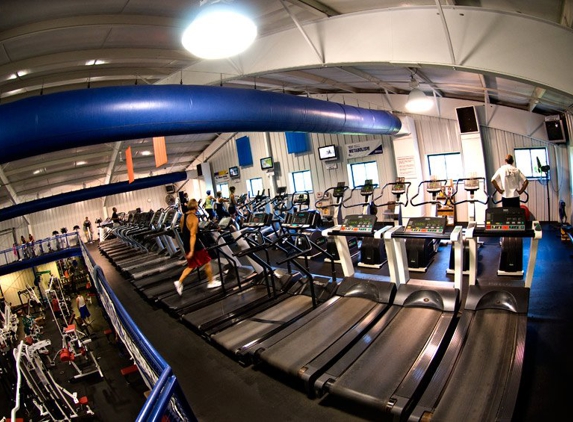 Danko's All American Fitness - Plains, PA